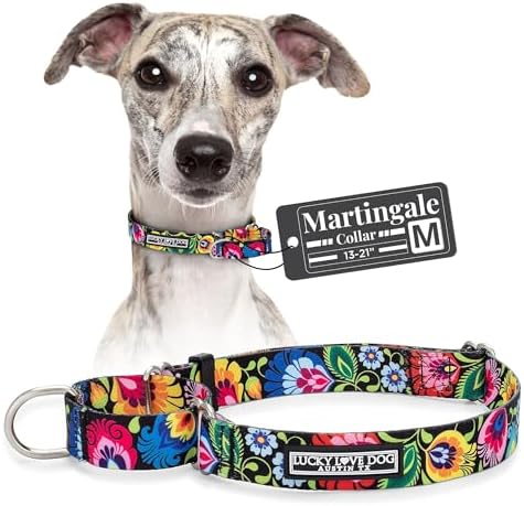 Lucky Love Dog Martingale Collar for Medium Dogs Cute – Blackbird, Medium