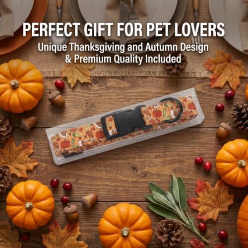 Fall Dog Collar, Thanksgiving Dog Collar for Medium Dog, M