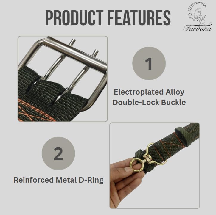 Tactical Heavy Duty Nylon Dog Collar for Large & Medium Dogs - Includes AirTag Compatible Case - Double-Lock Buckle & Reinforced D-Ring (Green, Large: Width = 2"; Neck = 16" - 22")