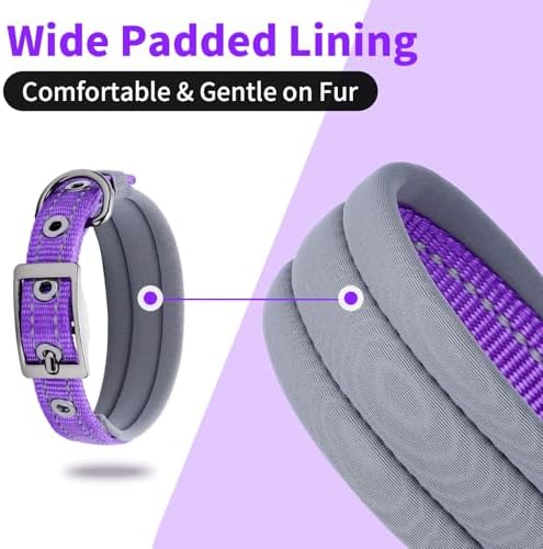 Segarty Reflective Small Dog Collars for Female Dogs neck 10.8-14in, Adjustable Wide Soft Comfortable Breathable Neoprene Padded Nylon Collar Heavy Duty Metal Buckle for Puppy Small Breeds (S, Purple)
