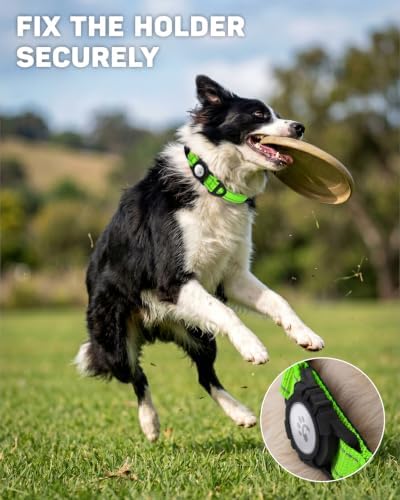 Padded Dog Collar with Waterproof Holder Compatible with Airtag