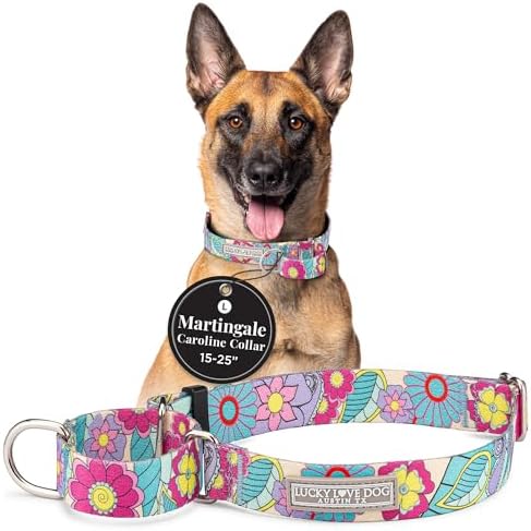 Lucky Love Dog Martingale Collar for Large Dogs No Slip – Caroline, Large