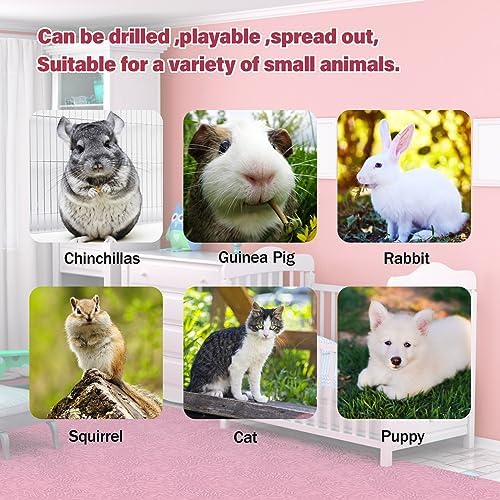 BWOGUE Bunny Tunnel Bed, 2-in-1 Collapsible Rabbit Tunnel Hideout with Mat