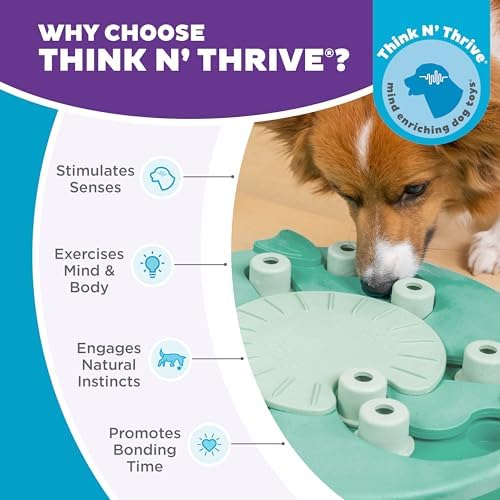 Outward Hound Nina Ottosson Dog Worker Dog Toy Treat Puzzle, 14" | Level 3 Advanced, 18 Hidden Treat Compartments, Kibble or Treats, Easy Clean, No BPA, Interactive Enrichment, Dogs & Puppies