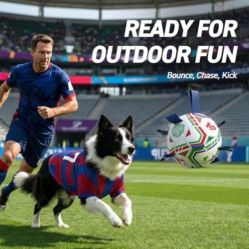 QDAN World Cup Soccer Ball for Dog, Large Herding Ball for 30-90 lbs Dogs