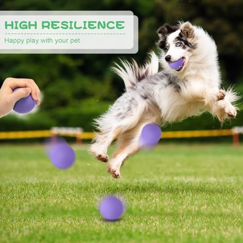Hiboom 15 Pack Natural Rubber Dog Tennis Balls for Fetch, Purple