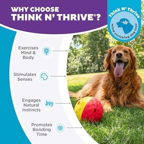 Outward Hound Nina Ottosson Treat Tumble Dog Toy Puzzle Ball, 5.8" | Level 1 Easy, Food-Dispensing Ball, Holds 1 Cup Kibble or Treats, No BPA, Interactive Enrichment, Dogs & Puppies
