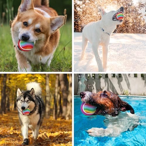 EXPAWLORER Squeaky Tennis Balls for Dogs-12 Pack High Elastic Dog Toy Balls