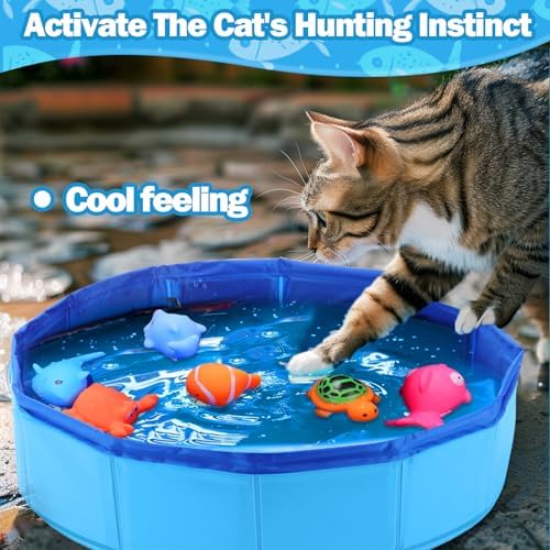 BABORUI Cat Pool Toy with Fish-Water Cat Toys, Portable Cat Pool Toy, Cat Water Toys for Bored Indoor Cats, Interactive Cat Toys for Indoor Cats for Endless Self Play