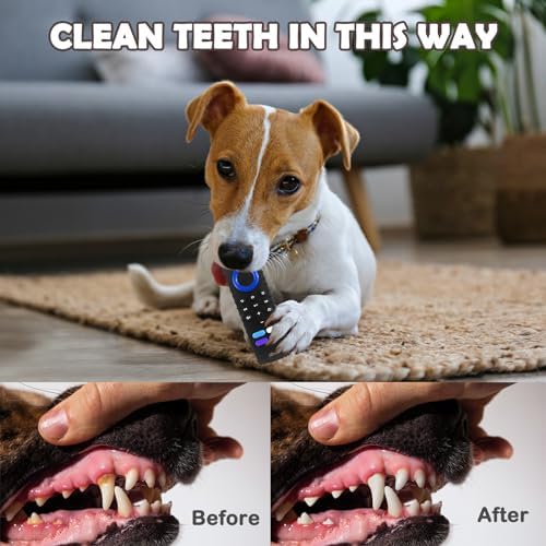 Puppy Toys for Teething, Remote Control Teether for Small Dogs,Puppy Teething Toy for Boredom & Stimulation,BPA-Free (Black)
