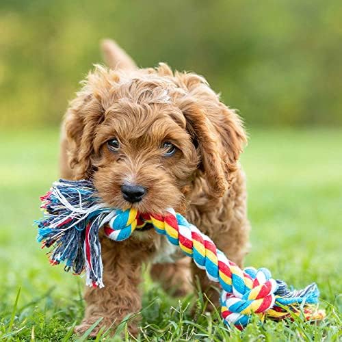 Jeffers Pet Rope Bone Dog Toy, Multi-Colored, 10" – Durable Braided Rope for Tug of War, Chewing & Fetch – Interactive Play for Pets – Machine Washable Dog Game Toy, Supports Healthy