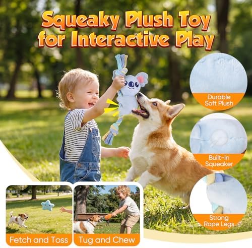 Aitmexcn 20 Pcs Puppy Toys for Small Dogs, Puppy Teething and Chew Toy Set with Squeaky Plush Toys, Treat Ball, Rubber Teething Rings and Rope Toys