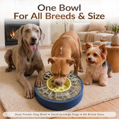 KADTC Adjustable 5-60 Min Slow Feeder Dog Bowl & Puzzle Feeder Anti-Gulping | 4-Cup Spinning Food Dispenser Turns Daily Meals Into Energy-Burning Enrichment, Eases Boredom, Builds Calmer Mealtime Rhythms