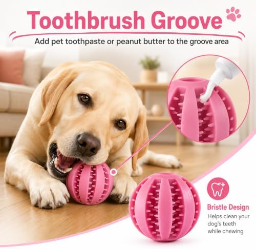 GASHIK Dog Treat Ball for Dogs, Rubber Dental Chew Toy for Dogs