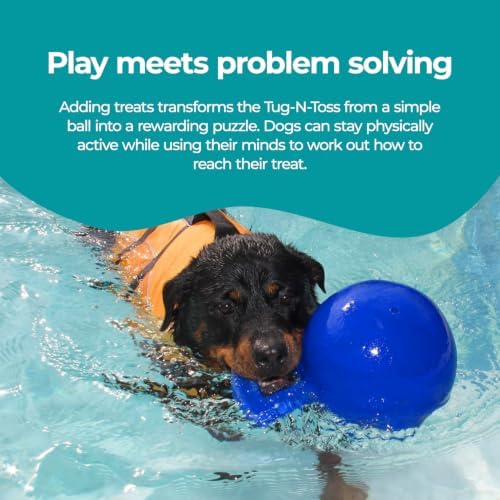 Jolly Pets Tug-n-Toss Heavy Duty Dog Toy Ball with Handle, 4 Inches/Petite, Blue (404 BL),Small Breeds