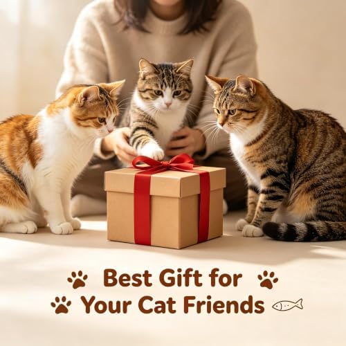 2BB Cat Kicker Toys 3 Pack, 13 Inch Quiet Catnip Toy Pillows for Indoor Cats, Soft Plush Refillable Kick Sticks for Kittens, Interactive Play & Exercise (Multi-Color)