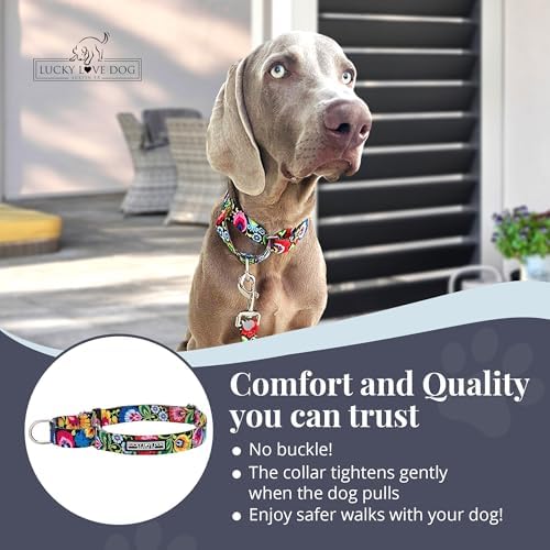 Lucky Love Dog Martingale Collar for Large Dogs No Slip – Blackbird, Large