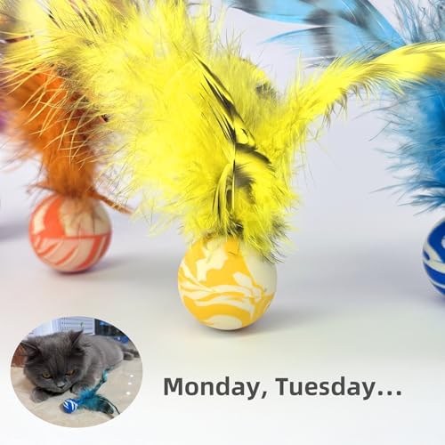 Feather Chase & Fetch Balls for Indoor Cats – 5 Pack Durable Rubber Cat Toys with Natural Feathers, Interactive Exercise & Hunting Play, Bouncy Balls for Active Kittens and Adult Cats