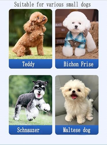 Dog Toys，2-Inch Interactive Dog Toys for Small Dogs (Orange)