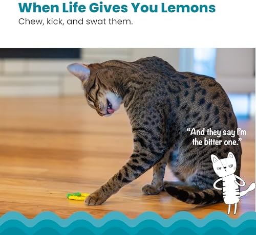 Catstages Dental Lemon Teether Interactive Chew Cat Toy with Catnip, 2.4"