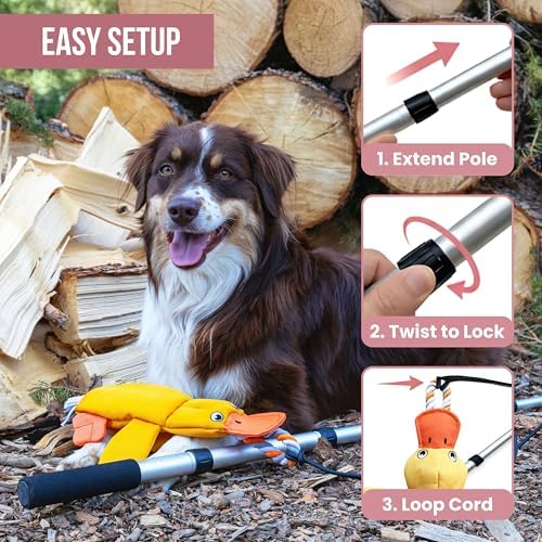 Flirt Pole for Dogs Heavy Duty 35 Inch Teaser Wand with Duck Toy