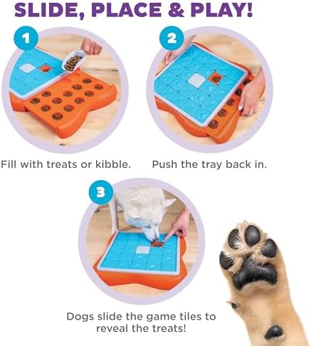 Outward Hound Nina Ottosson Challenge Slider Dog Toy Treat Puzzle, 14.7" | Level 3 Advanced, 24 Hidden Treat Compartments, Wet or Dry Food, Interactive Enrichment, Easy Clean, No BPA, Dogs & Puppies
