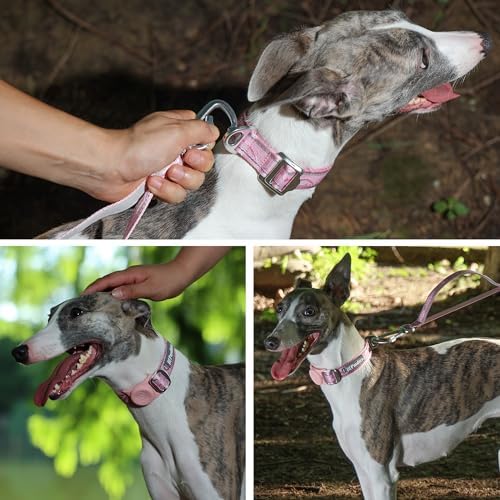 AirTag Dog Collar, Reflective Nylon, Metal Buckle, IP68, Dog Collar with AirTag Holder, Heavy Duty Dog Collars for Large Medium Small Dogs (Blush Pink, M：Width 1",Neck 13.4"-18.9")
