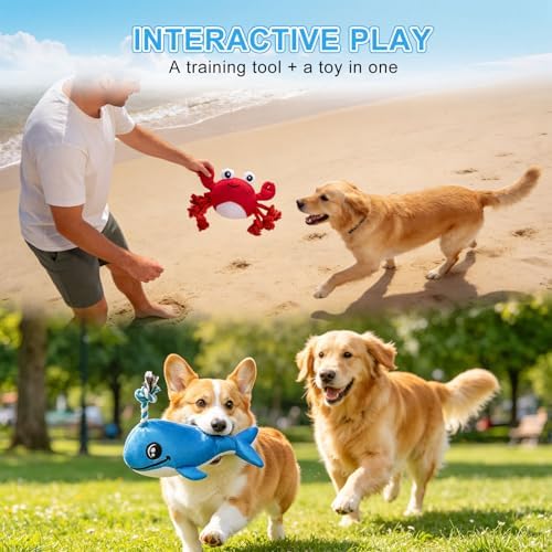 BEAUTYZOO Floating Dog Pool Toys 2 Pack,Squeaky Water Fetch Toys for Summer