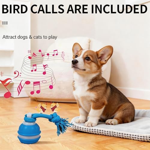 Interactive Dog Toy, Automatic Rolling Ball with Bird Sound, 3 Mode Pet Toy