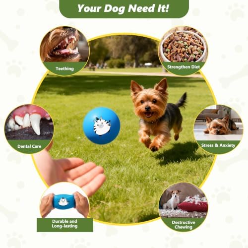 Latex Squeaky Balls for Small Dogs, 2" Soft Latex Squeaky Dog Ball Toys, Cute Animals Rubber Bouncy Balls, Puppy Teething Chew Toys for Mini & Small Dogs (2"-Set C)