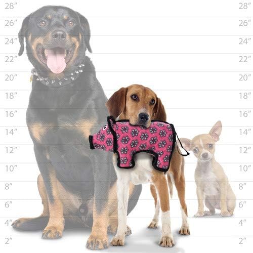 TUFFY® : 2 Pack Jr Pig Dog Toy: Ultra Durable Plush Toy with Multiple Layers & Reinforced Seams, Washable and Floats, Original Construction
