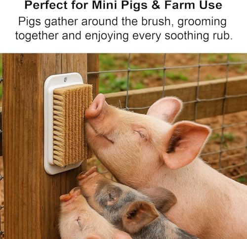 2Pcs Pet Enrichment Toy, 2-in-1 Self-Grooming and Scratch Brush for Mini Pigs, Cats & Dogs – Encourages Natural Behavior, Reduces Stress, Easy Install for Pens, Crate or Yard