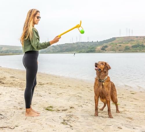 Project Hive Dog Ball | Set of 3 Looped Dog Balls | Interactive Dog Toys Compatible with Hive Zoomer Dog Toy Thrower | Perfect for Fetch and Tug Play | Pink, Green, Blue