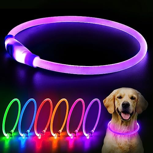 Flashseen LED Dog Collar, USB Rechargeable Glow Lighted up Collar, Purple