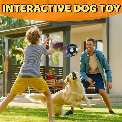 Tough Durable Ball Toy for Medium Large Dog