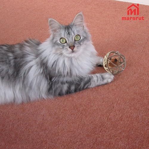 Squeaky Mouse Ball Cat Toy with Simulated Sound, Mouse Inside Cage, Squeky Balls for Cats to Play with Indoor, Squeak Interactive Plastic Funny Toys Best for Chewing Training Playing Chasing (Beige)