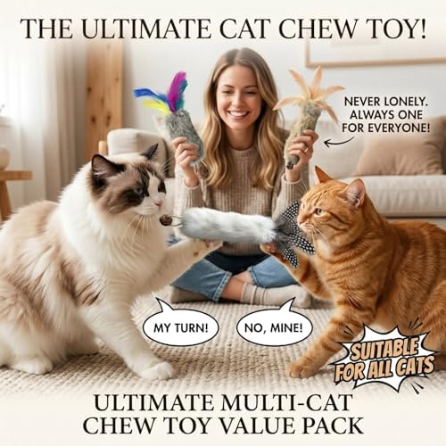 Cat Toy Rabbit Fur Feather 3pcs Gall Fruit Treat Kitten Kick Indoor