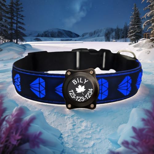 Personalized Dog Collar Waterproof airtag Dog tag Holder,USB C Light up Night Black Dog Collar (Black, XL(19.7-23.6"))