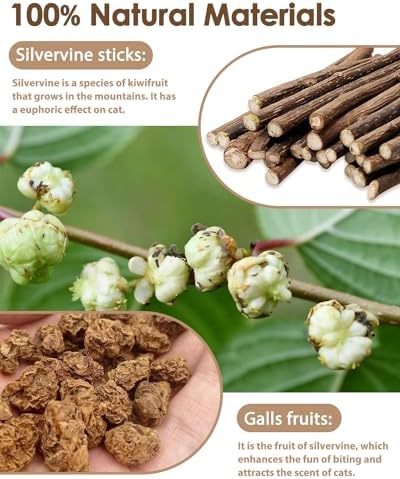 Tocirelo Cat Toys Silvervine Sticks, Natural Catnip Toys for Indoor Cats