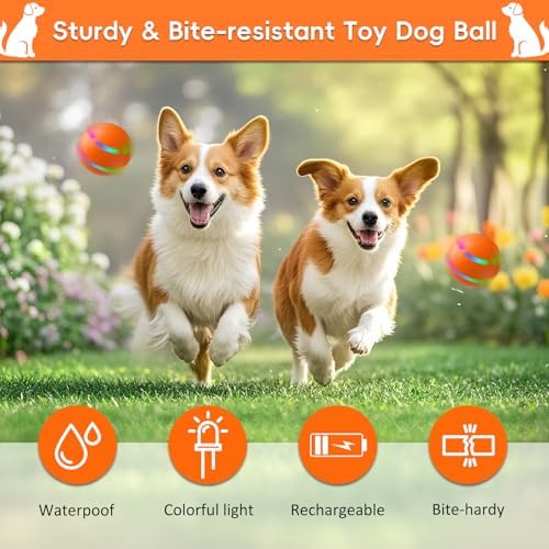 Smart Interactive Dog Toy Ball, Automatic Moving, Self Rolling & Bouncing Dog Ball to Keep Them Busy, Durable TPU Material, Waterproof, Pet Toys for Medium and Large Dogs Indoor & Outdoor (Orange)