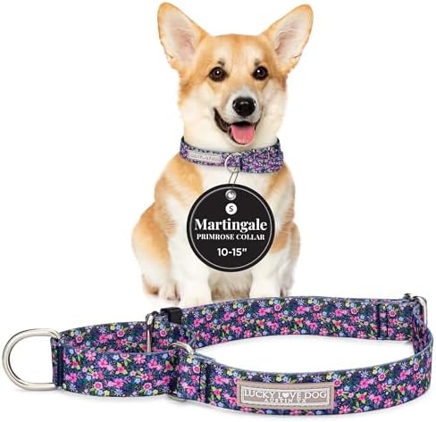 Lucky Love Dog Martingale Collar for Small Dogs No Slip – Primrose, Small