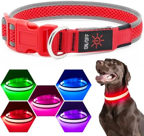 Flashseen LED Dog Collar, Light Up Dog Collar USB Rechargeable, Red, S