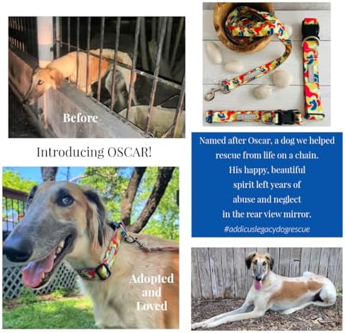 Lucky Love Dog Martingale Collar for Small Dogs No Slip Cute – Oscar, Small
