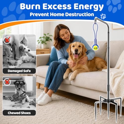 Tether Tug Outdoor Dog Toy Spring Pole, 3 Ropes for Tug of War