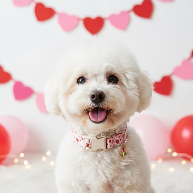 Dog Collar, Girl Dog Collars with Kiess Pattern, Cute Pet Collar with Soft Fabric and Quick Release Buckle, Adjustable for Extra Small, Small Dogs