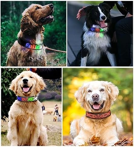 Yinhing Programmable LED Collar for Pets Rechargeable Collar with Single Color Red Display Mobile App Compatible Stylish and Design for Nighttime Visibility (Red)