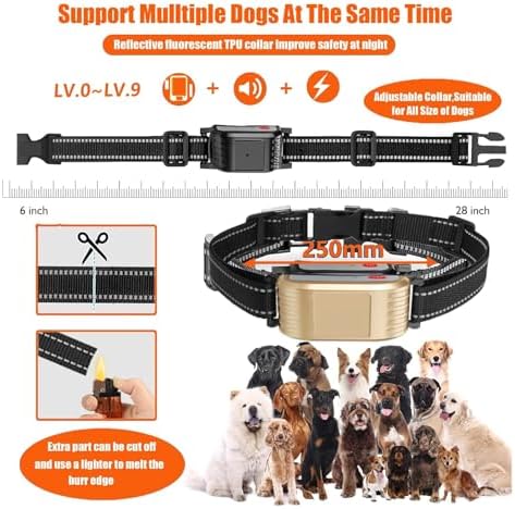 Wireless Dog Fence, Electric Dog Fence & Remote Training Collar, Vibration & Shock, IP65 Waterproof Collar for Large and Medium Dogs with 3 Training Modes, Dog Container Boundary System,for2dogs