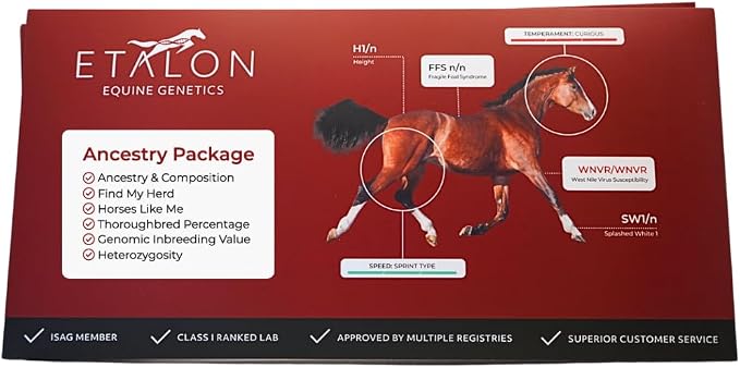 Equine Genetic Ancestry DNA Test Kit, Horse Breed Composition, Relative Finder, Inbreeding Analysis *This is Ancestry only