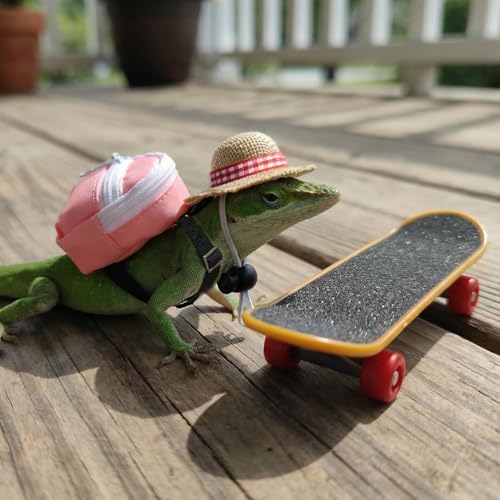 3 Pack Bearded Dragon Toy Set Includes a Bearded Dragon Backpack, an Adjustable hat, and a mini Skateboard Toy, for Small Reptile Pets Such as Lizards, Hamsters, Parrots, and Turtles.（Pink）