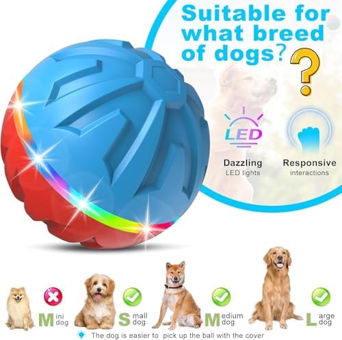 Casfuy Durable Motion Activated 2 Speed Interactive Ball Dog Toy with Remote & LED Light, Blue